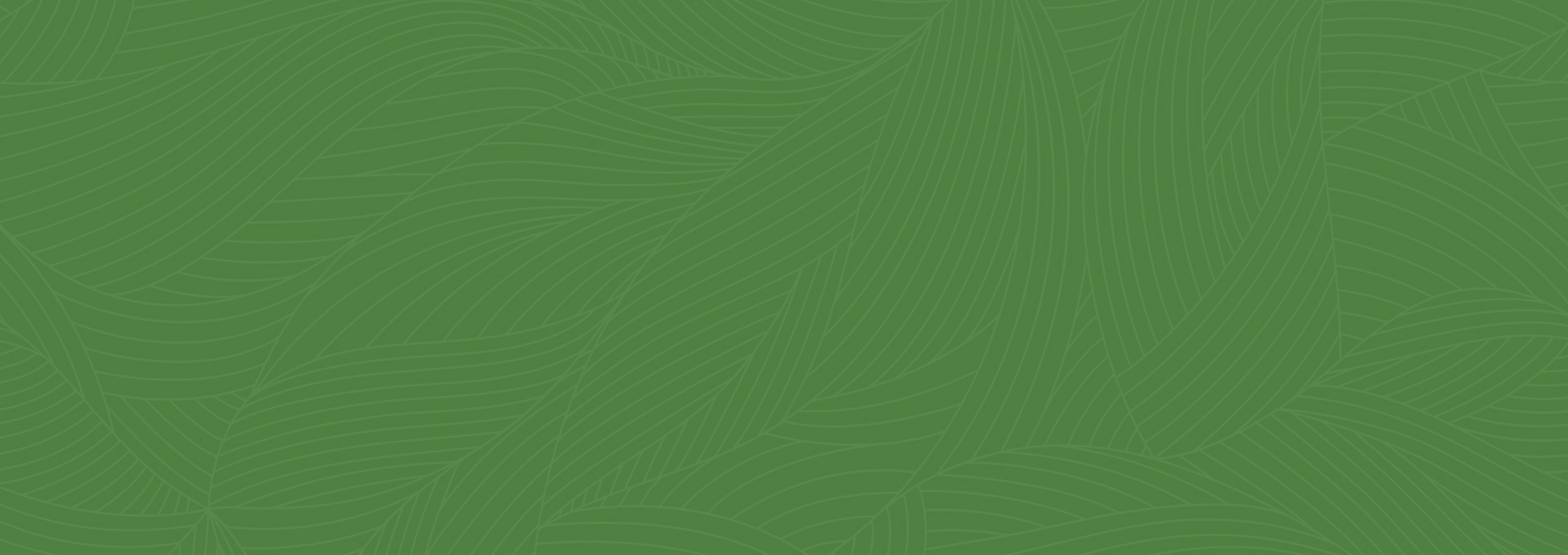 Zero Waste Solutions About Food Packaging Biodegradable Materials