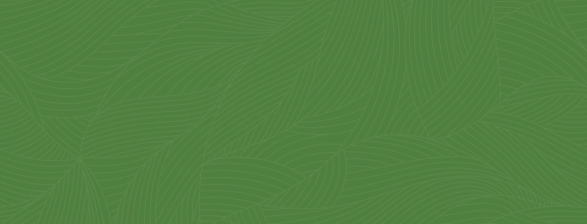 Advantages of Bagasse Cutlery